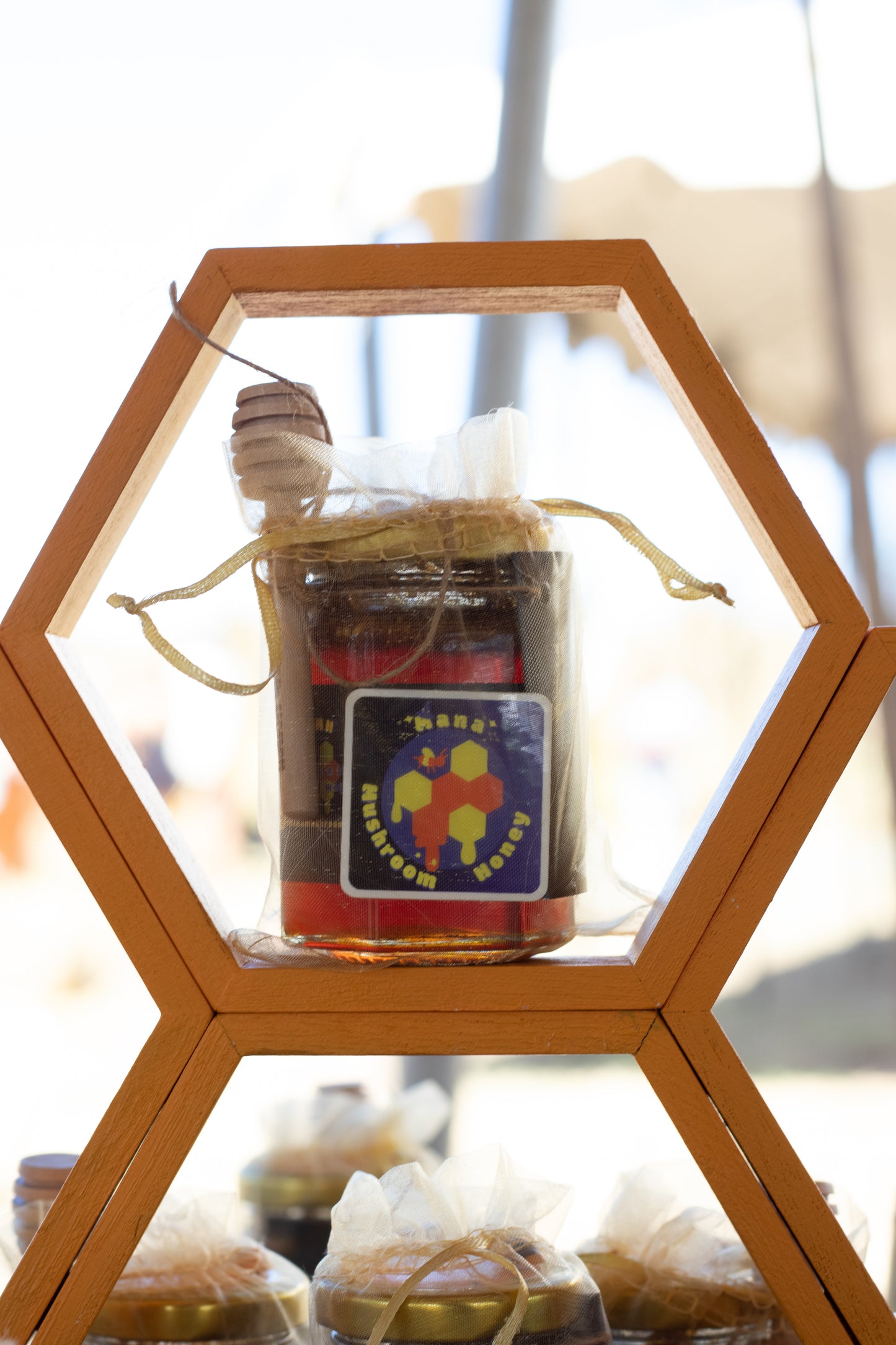Mana Mushroom Honey (4oz)